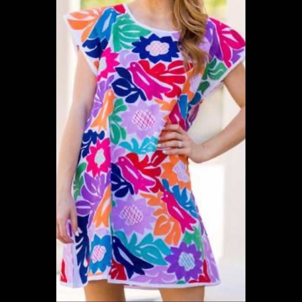 NWT Embroidered Maya Dress with pockets